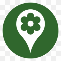 Whee Electric Scooter Sharing Palma - Aesthetic Flower Icon png