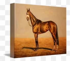 Zenyatta By Birgit Schnapp - Stallion Png,Zenyatta Png