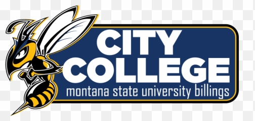 City College - Msub png