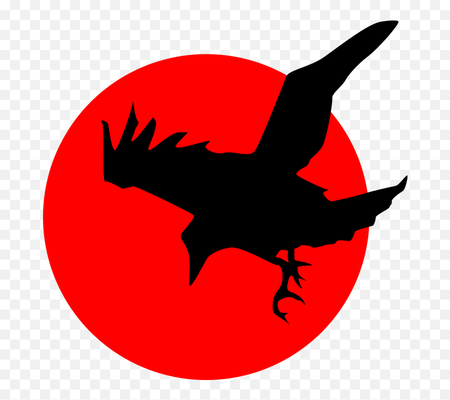 Crow Flying Silhouette - Raven Silhouette Png,Sun Silhouette Png