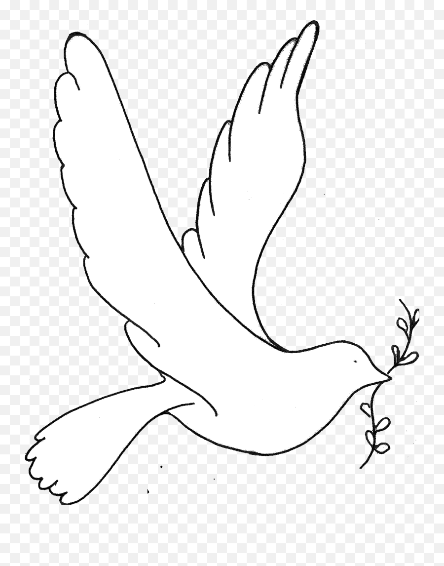 April 17 2012 U2013 Global Day Of Action - Passerine Png,White Dove Icon