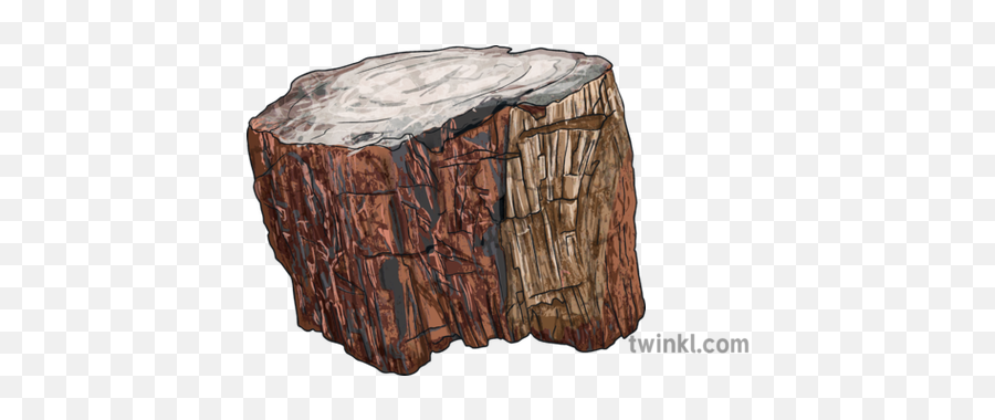 Petrified Wood Fossil Stone Tree Bark - Petrified Wood Tree Bark Png,Tree Bark Png