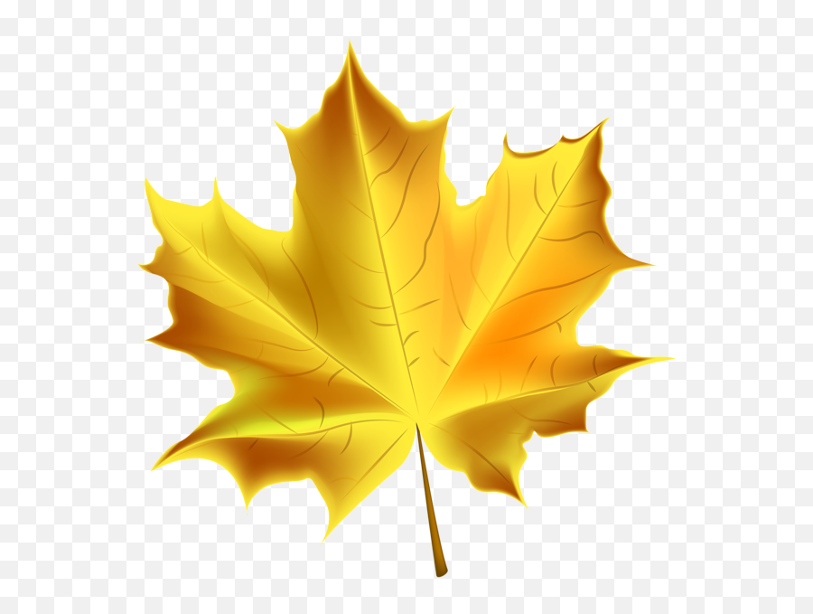 Yellow Fall Leaf Clipart - Transparent Background Leaf Clipart Png,Autumn Leaf Png