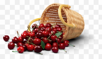 Marbery Organic - Cerezas En Canasta Png,Cherries Png