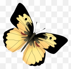 Yellow And Black Butterfly Png Clipart Image - And Png