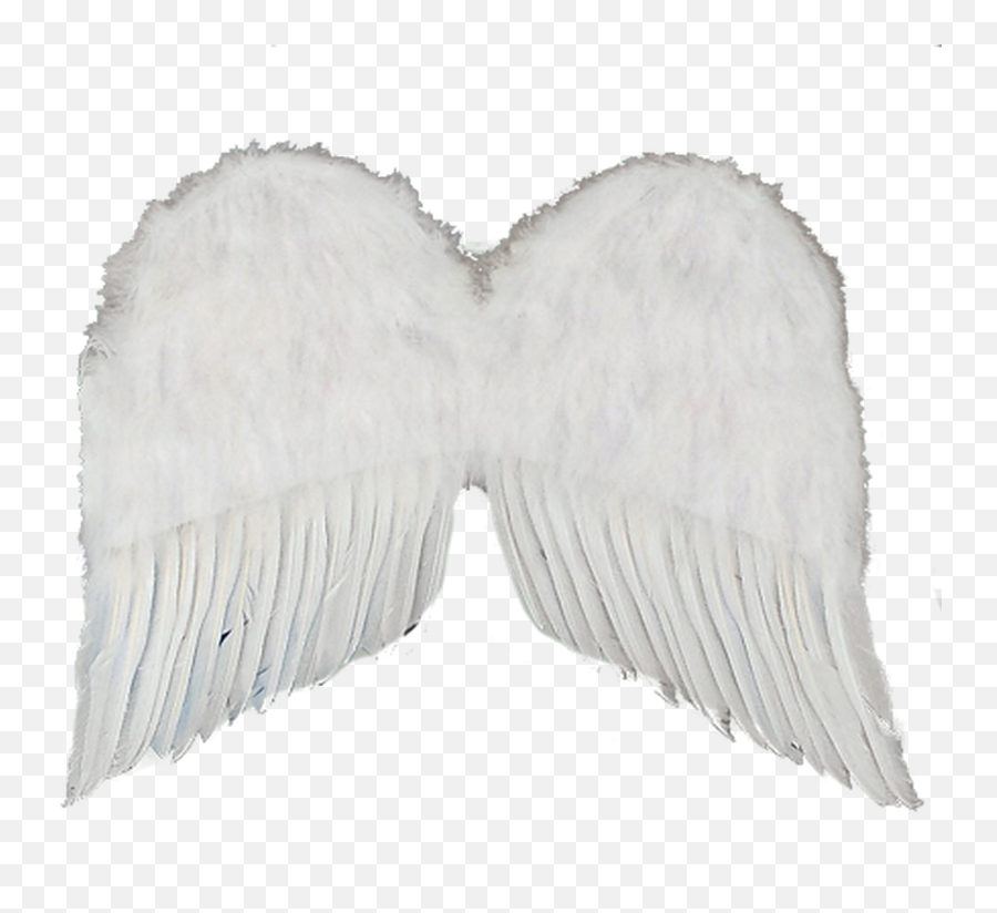 Wings 22 White Feather Png Angel