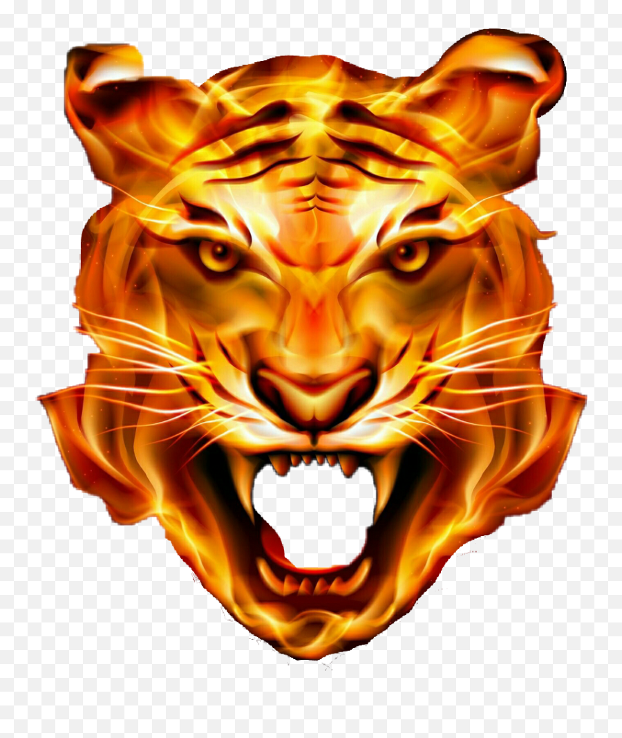 Lion Head Png Transparent 5 Image - Fire Tiger,Lion Head Png