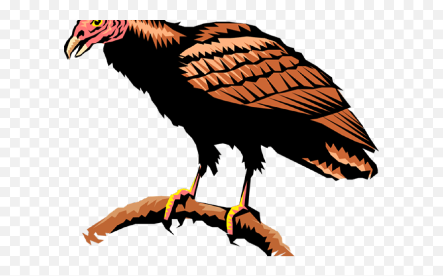 Drawn Turkey Vulture American Eagle - Turkey Vulture Clipart Png,Vulture Png