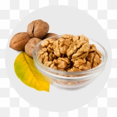 Download Walnut Kernels Png