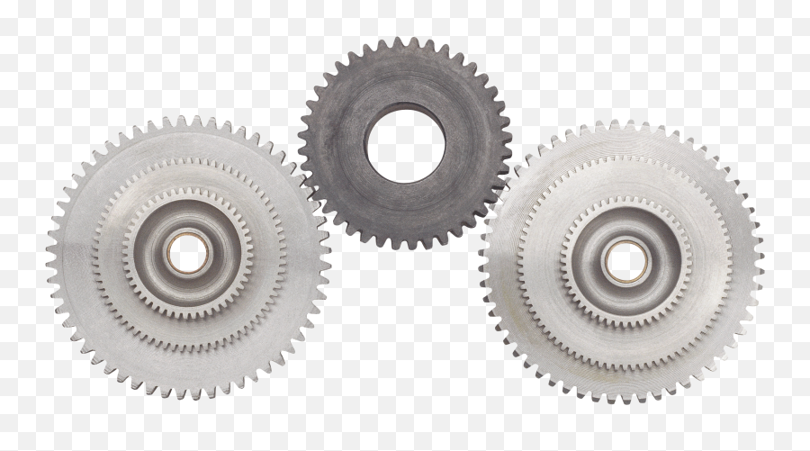 Download Hd Free Cogs Transparent Png - York University Seal,Cogs Png