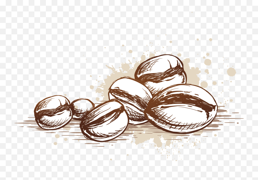 Coffee Bean Logo Png - Clipart Coffee Bean Png,Coffee Bean Logo