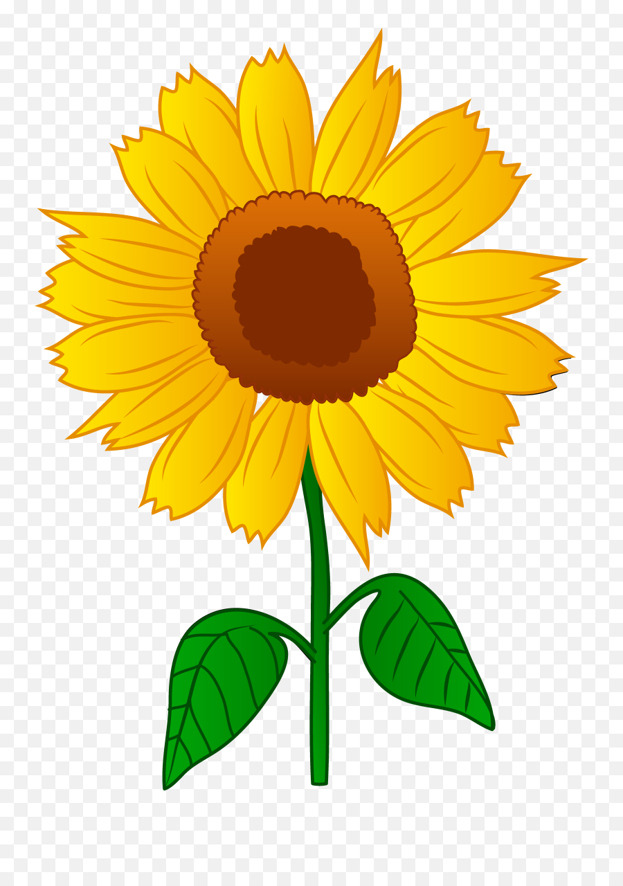 Free Sunflower Clipart Transparent - Clipart Image Of Sunflower Png,Sunflower Transparent Background