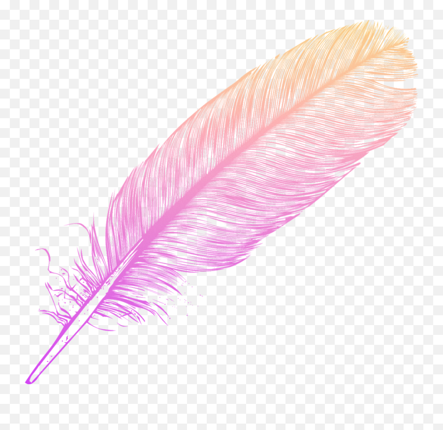 Ombre Feather Feathers Native Sticker By Candace Kee Png Transparent