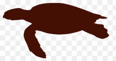 Turtle Swimming Png U0026 Free Swimmingpng Transparent - Reusable Bags For Turtles