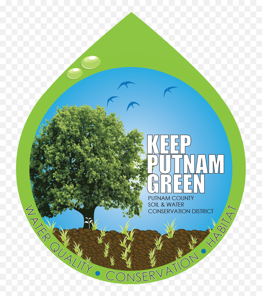 Plant Putnam 2016 - Putnam County Tree And Shrub Seedling Putnam Soil And Water Conservation District Tree Png,Shrubs Png