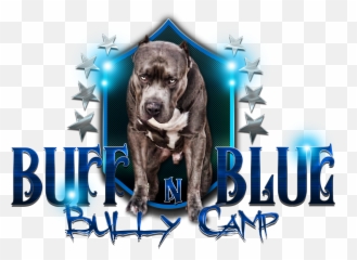 Downloads - Buff N Blue Bullies Guard Dog Png,Bully Png