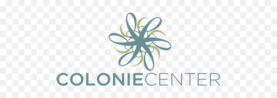 Colonie Center In Albany Becomes Gamersu0027 Paradise By - Colonie Center Logo Png,Pokemon Go Logo