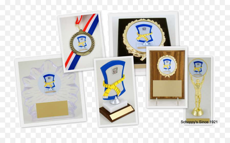 Find Weight Lose Trophies And Awards Medals Plaques - Trophy Png,Biggest Loser Logo