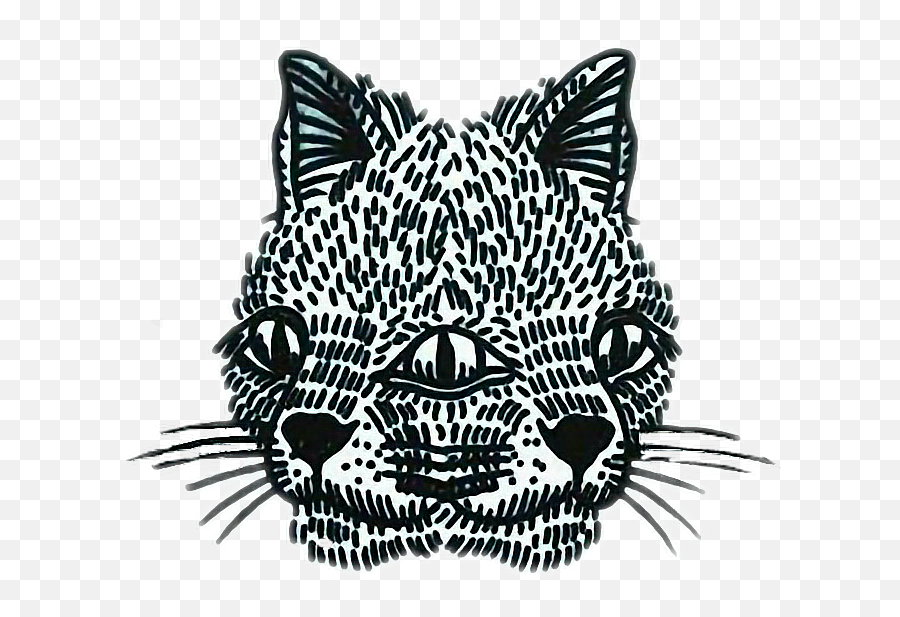 Download Hd Cats Cat Twin Twins Surreal Sticker Tumblr - Russian Criminal Tattoo Transparent Png,Tumblr Transparent Grunge