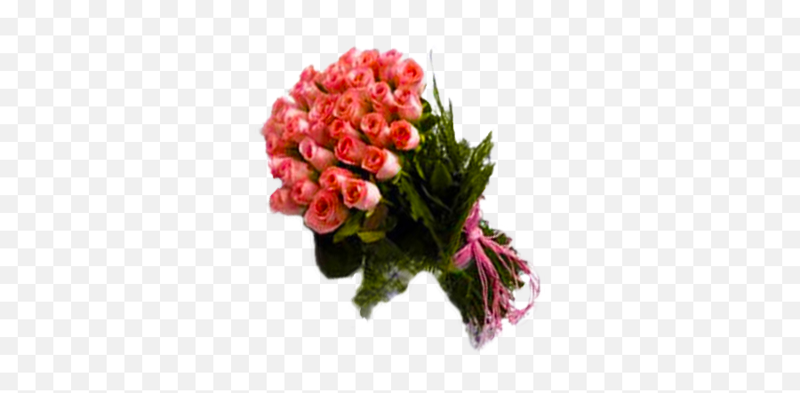 Blushing Pink Roses Bunch - Garden Roses Png,Pink Rose Transparent