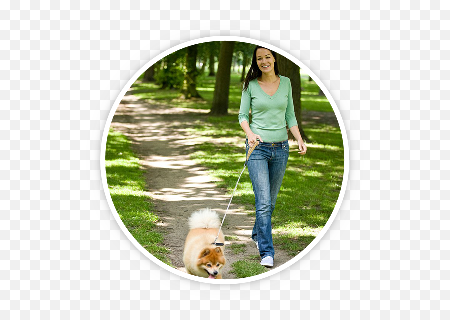 Dog Walking By Belltown Walker Vip Pet Services Inc - Northern Breed Group Png,Dog Walking Png