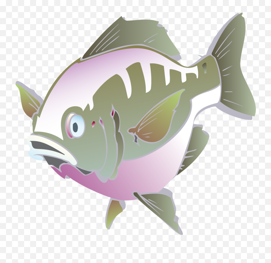 Free Png Fishes - Konfest Coral Reef Fish,Fin Png