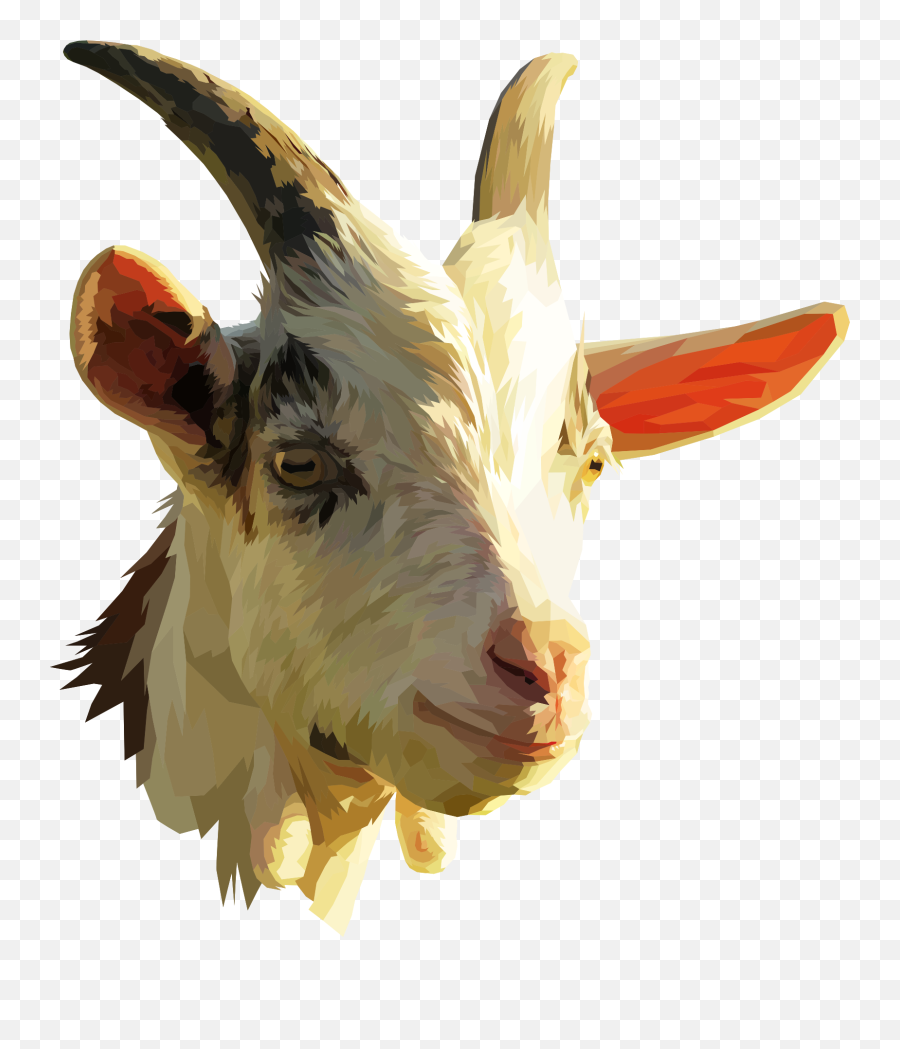 Goat Low Poly Animal - Goat Head No Background Png,Goats Png