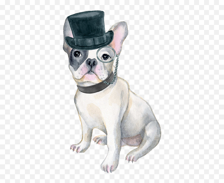 Frenchie French Bulldog Top Hat Monocle Dogs In Clothes Greeting Card - French Bulldog Puppy In Bow Ties Png,Monocle Transparent Background