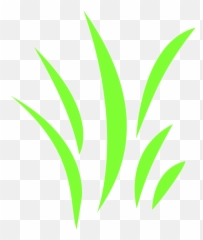 Icon Grass Grasses - Air Force Memorial png