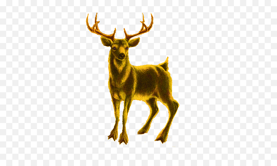 Boldog Karácsonyt Deer Sticker - Animal Figure Png,Deer Icon Tumblr