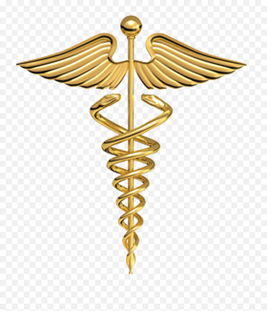 Download Physician Gold Plate Of Symbol Medicine Hermes - Health Snake Png,Asclepius Icon Transparent