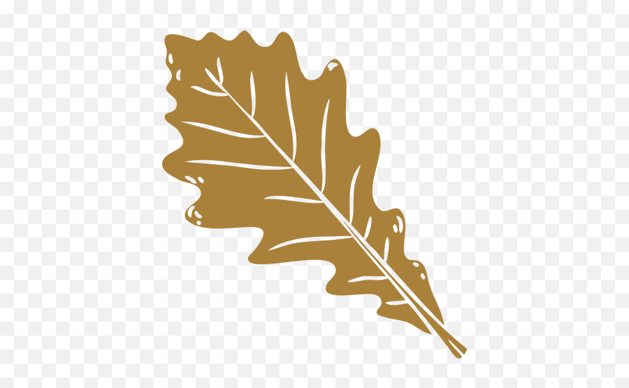 Dried Oak Leaf Cut Out Transparent Png U0026 Svg Vector - Black Oak,Oak Leaf Icon