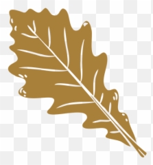 Dried Oak Leaf Cut Out Transparent Png U0026 Svg Vector - Black