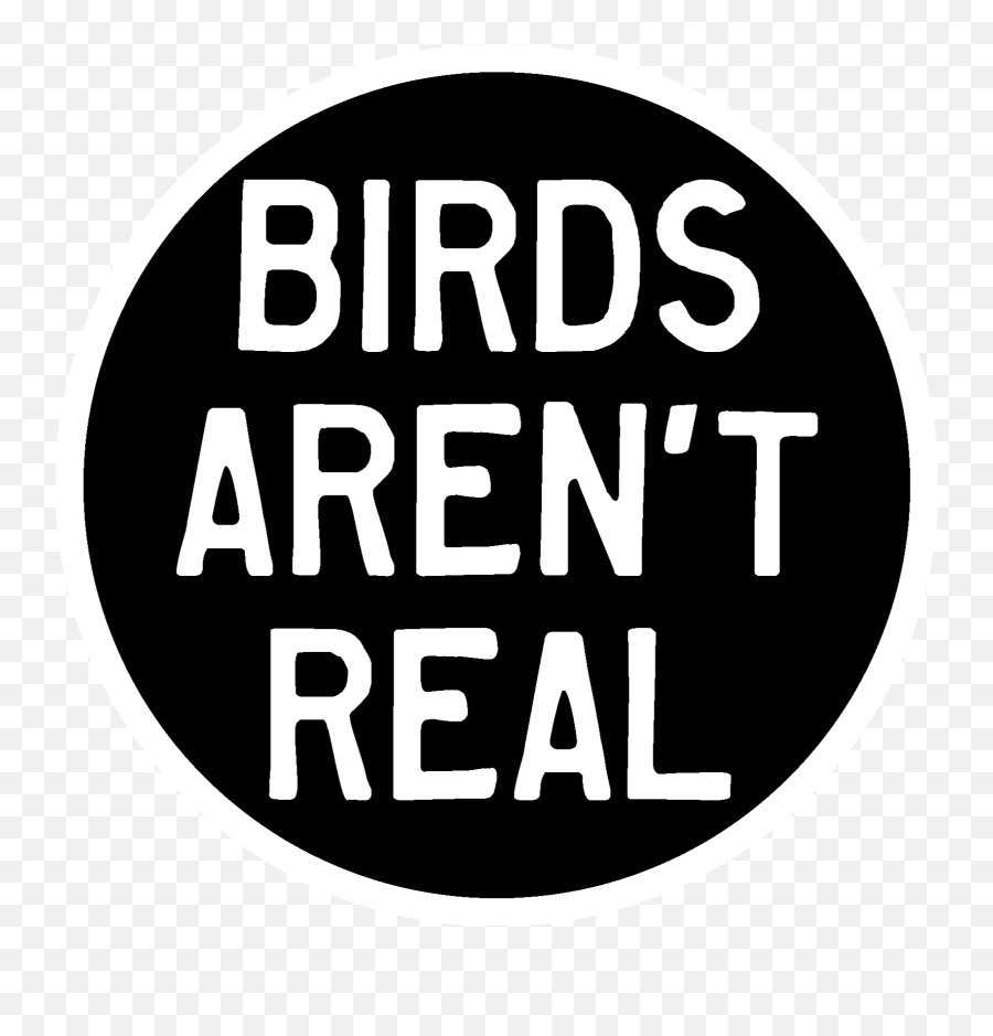 Question I Know Birds Arenu0027t Real But If Make Myself - Solid Png,Baked Chicken Icon