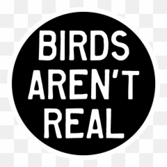 Question I Know Birds Arenu0027t Real But If Make Myself - Solid Png,Baked Chicken Icon
