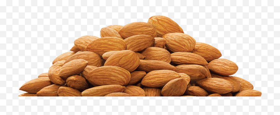 Download Almond Png - Badam Png,Almonds Png
