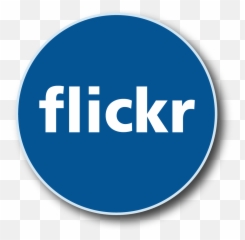 Download Twitter Logo Button Instagram Flickr - Magic Radio png