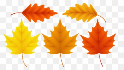 Download Sugar Maple Leaf Acorn Png Image With No Background - Autumn Leaf Clipart Hd Transparent Background,Acorn Transparent Background