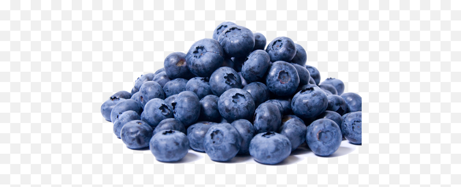 Blueberries Png Images Free Download