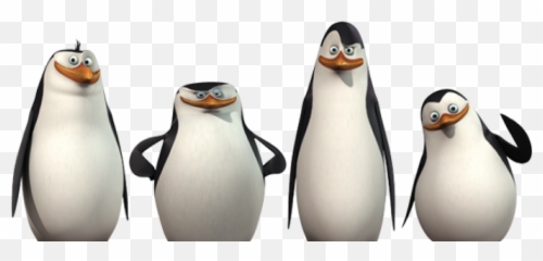 Madagascar Penguins Png Web Icons - Of