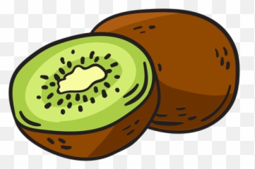 Kiwifruit Hand Drawn - Transparent Png U0026 Svg Vector File Clip Art,Kiwi Transparent