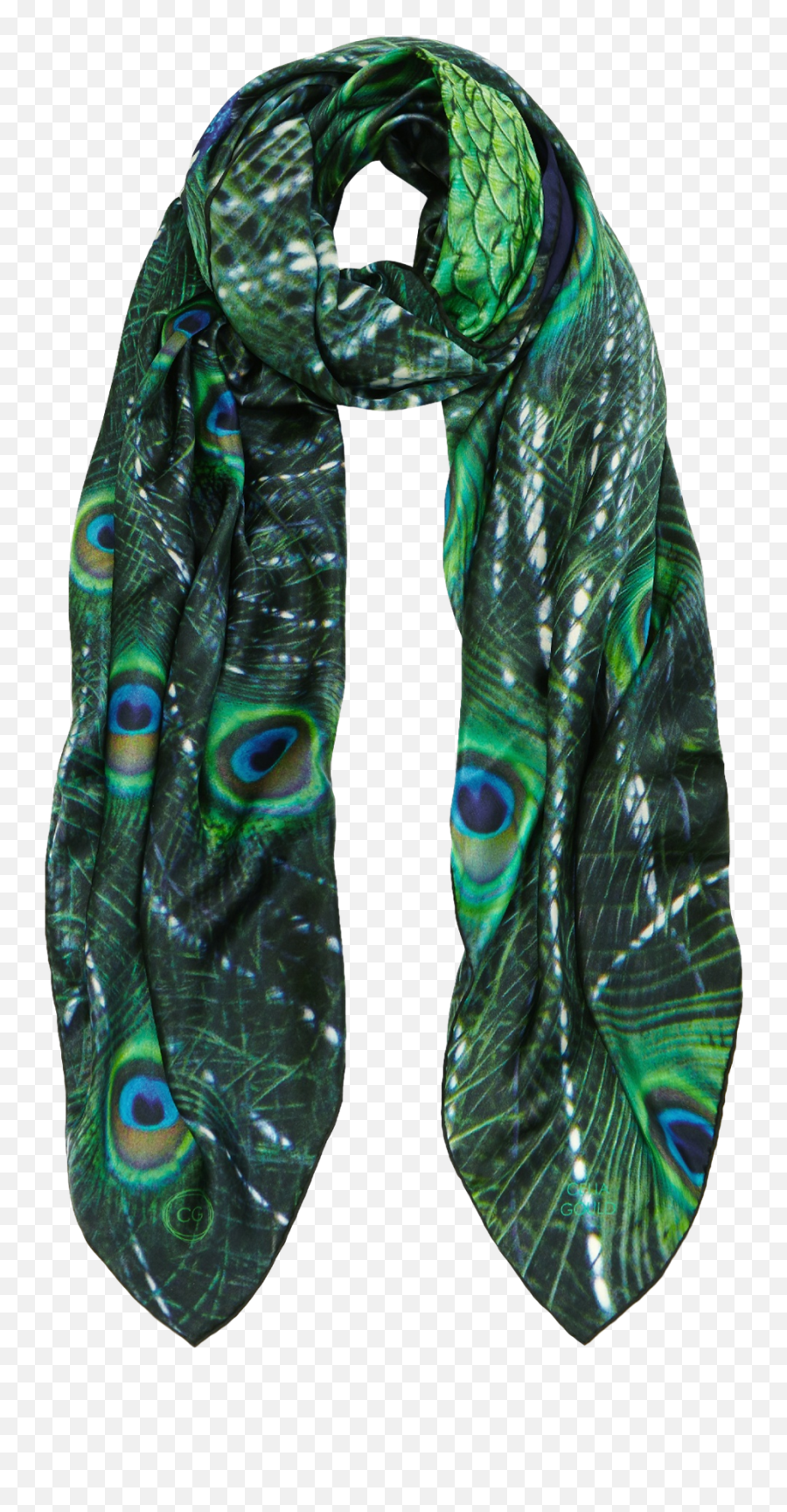 Peacock Png - Picture Of Galilee Peacock Png Download Scarf,Peacock Png