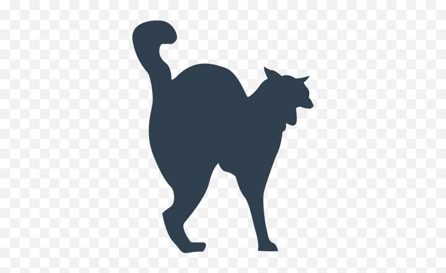 Black Cat Logo Dog Clip Art - Cat Png Download 512512 Animal,Black Cat Logo