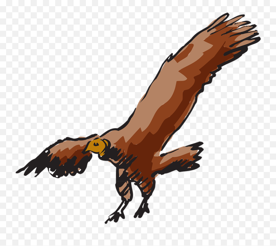 Vulture Scavanger Buzzard - Flying Vulture Clipart Png,Vulture Png