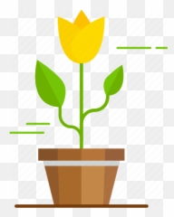 Green Plant Plants Pot - Illustration Png,Green Plant Png
