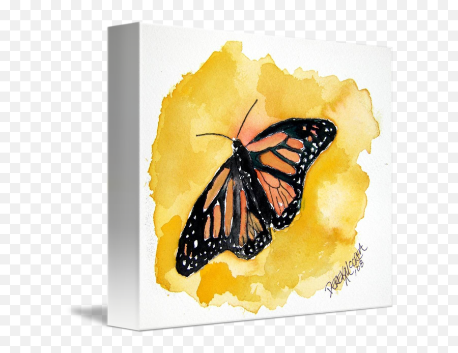 Orange Monarch Butterfly Watercolor Painting By Derek Mccrea - Paint A Small Butterfly Png,Watercolor Butterfly Png