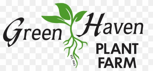 Trees U0026 Shrubs U2013 Green Haven Plant Farm - Illustration png