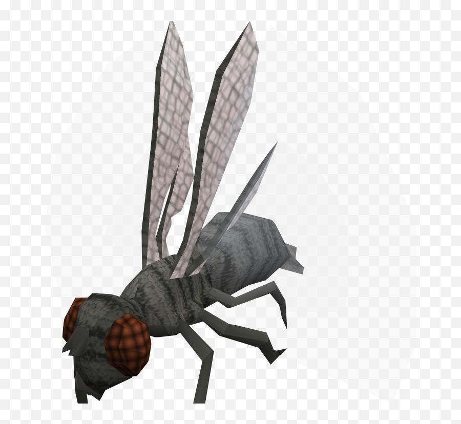 Warped Fly - The Runescape Wiki Giant Fly Png,Fly Png