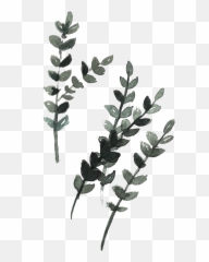 Rustic Png