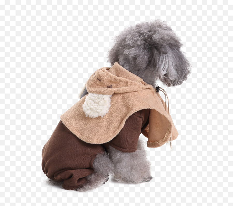 Star Wars Ewok Dog Costume Png